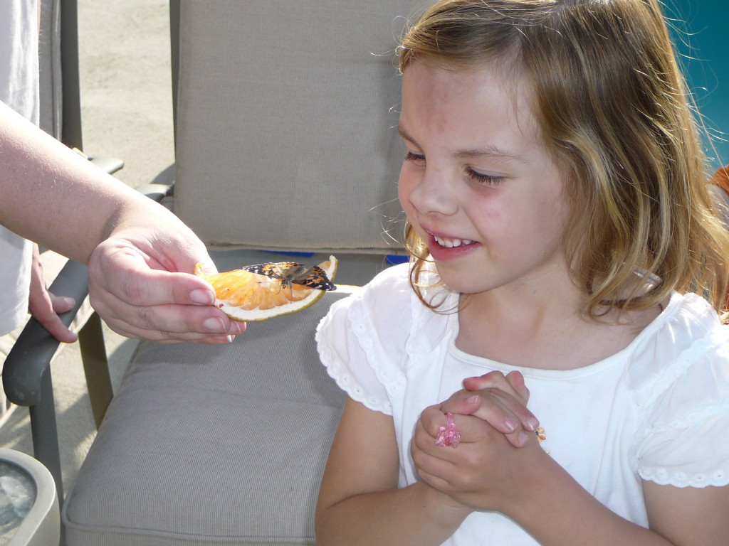 Science Childrens Garden Montessori of Canton Preschool and Kindergarten