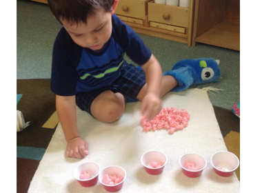 Canton Preschool Counting Pigs